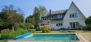 Marmouset - Image 2