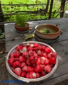 mehome Hidden Garden Homestay - Image 2