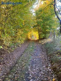 Królowa Luiza i Wiking - Image 5