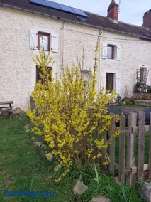 Les Papillons - Image 3