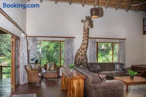 Lulu Safaris on Kruger - Image 1