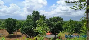 Kittu's Farm - Image 5