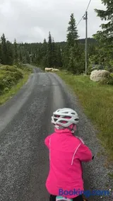 Stor familiehytte på Småsætra, Sjusjøen - Image 2