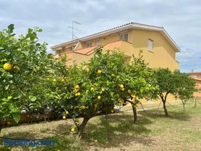 Lemon Apartments - Image 1