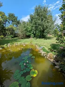 Appartamento accogliente e familiare con terrazza, giardino e griglia | Accetta animali domestici - Image 3
