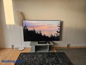 Cozy One Room Apartment - Image 2