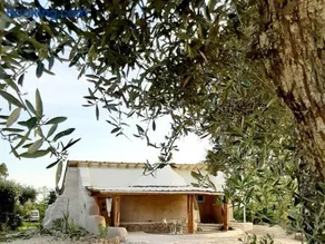 Terramadome, "O pequeno Dome CASA 1" - Image 1