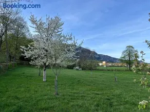 Ferienhaus Höflein - Image 2
