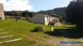 courtaline - Image 3