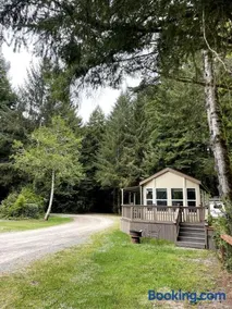 The Tall Trees Cabin - Image 2