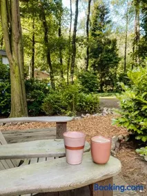 Sfeervol Tiny House in het Bos - Image 2