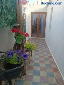 Sole Melis - Image 2