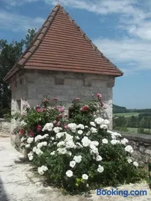 Chateau de Lamothe d'Anthe - Image 3