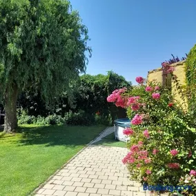 El Molino - Image 1