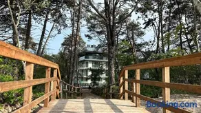 Sea View Pogorzelica Szeroka Spokojna Plaża z widokiem na morze - Image 1