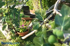 Studio Point of view - Image 4