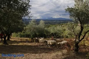 Tenuta Cerreto - Image 2
