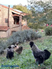 B&B Podere Legnotorto - Image 2
