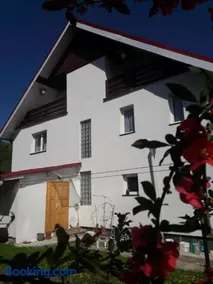 Casa Ionela nr 13- Complex de pensiuni si Casute la Munte - Image 1