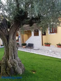 Apartments Magnolia - Image 2
