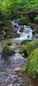 Infinite Stillness Farm - Image 4