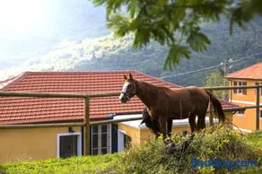 Casa Sud Miranda - rustico di paese - Image 1
