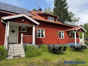 Skogstjärna - Image 1