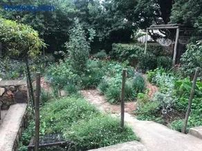 The Garden Room - Image 4