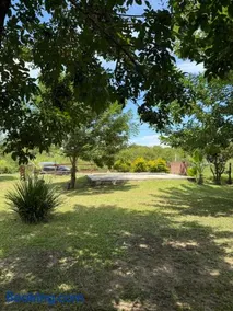 Paso de la patria - Image 4