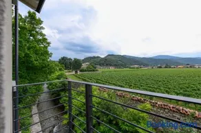 Il Vigneto - Image 3