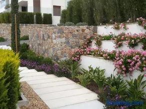 Las Colinas - Image 4