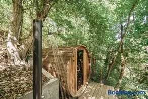 Treebox Noszvaj - Image 3