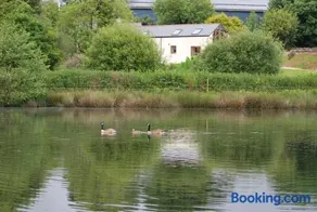 Lakeview Cottage - Image 4