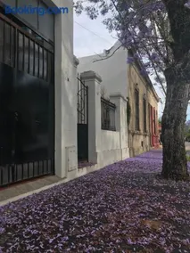 El Jacarandá, relax, en Chascomús - Image 1