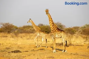 Sondela Nature Reserve & Spa Makhato Lodges - Image 3