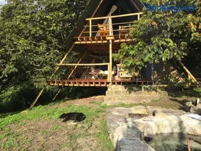 Glamping El Árbol en la Casa - Image 2