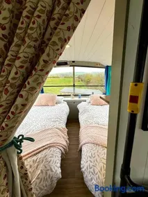 Ballinadee Bus - Image 2