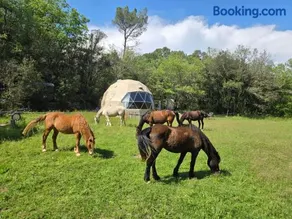 La Cabane aux Chevaux - Image 3