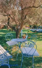 Il Bouganville - Image 1