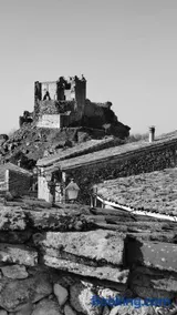 La Lagareta de Olivia - Image 2