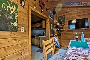 Almchalet Goldbergleiten - Image 3