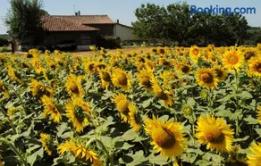 Gîte d'en Pouillac - Image 3