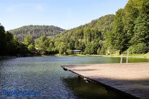 Ferienwohnung am Luegsteinsee - Image 2