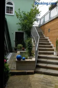 Vogelnest - Image 3