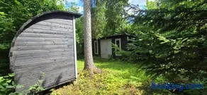 Lepakäbi metsamajakesed - Image 2