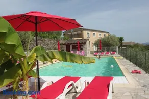 Mûrier - Image 4