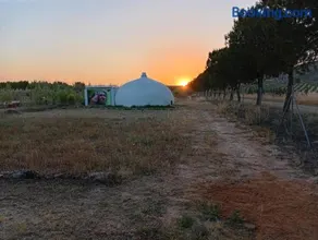 Troglo Domo Glamping Villena - Image 2