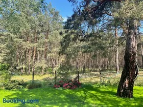 Ferienhaus im Wald, am Briesener See - Image 1
