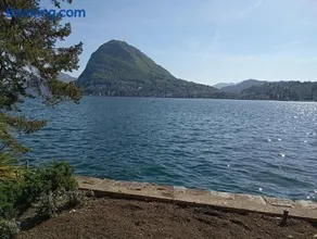 Casa Willo - Image 4