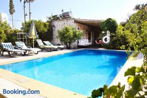 Villa Limon by Important Group Travel - Image 2